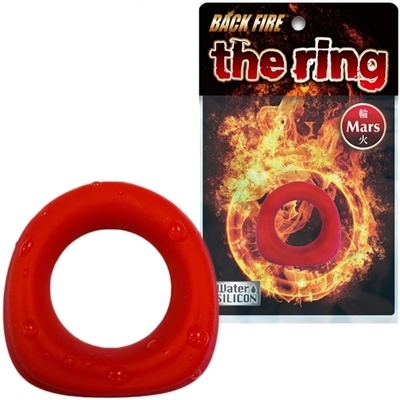 �o�b�N�t�@�C�A�[�@�������@���������@�i�}�[�Y�j�i�j���푝���O�b�Y�j