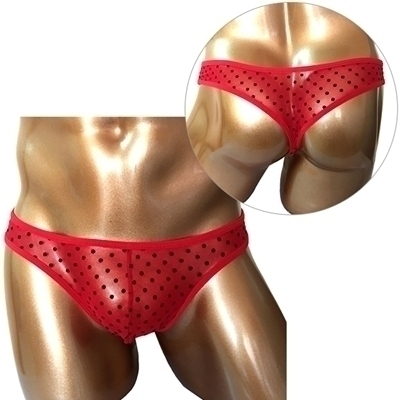 �a�����c���������@���C���h�r�L�j�p���c�i�v�|�O�P�V�j�@���ʃ��b�h�i�����j