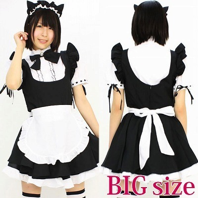 �}�I���C�h�@�a�h�f�i�ߑ��E�R�X�`���[���j