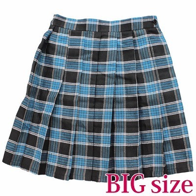 �`�F�b�N���v���[�c�X�J�[�g�@�a�h�f�i�ߑ��E�R�X�`���[���j