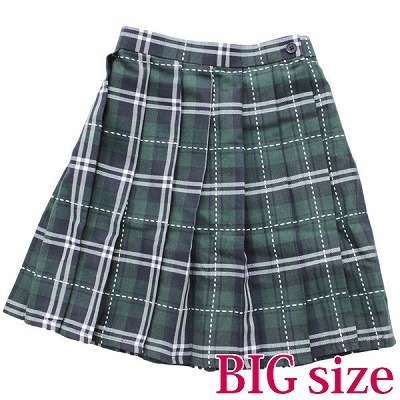 �X�e�b�`����`�F�b�N���v���[�c�X�J�[�g�@�a�h�f�i�ߑ��E�R�X�`���[���j