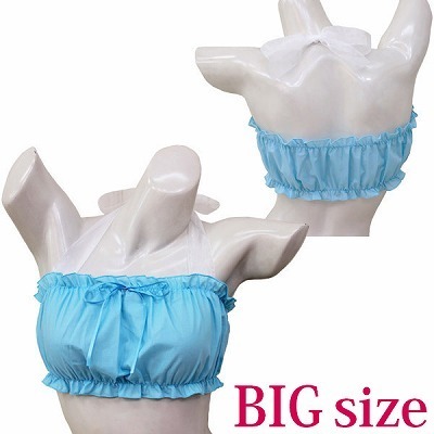 �t�����u���P�i�@���F�@�a�h�f�i�ߑ��E�R�X�`���[���j