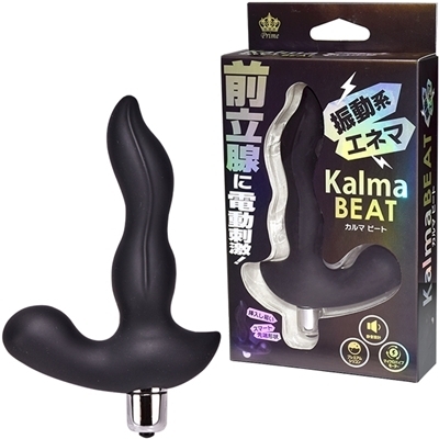 �j���������@�a�d�`�s�i�J���}�r�[�g�j�i�A�i���j