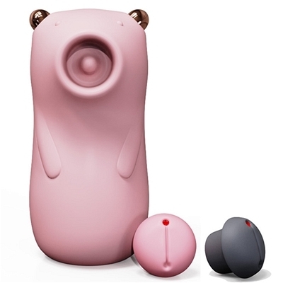 ���z������a�����@�a�������@�i�s���N�j�i�s���N���[�^�[�j