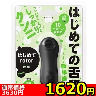 �y�P�U�Q�O�~�����ʌ���z�͂��߂ā@�����������@���r�@�i�����������j������l�l�P�_���聄�i���������j