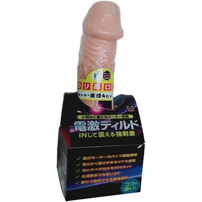 �d���f�B���h�@�i�J���������O�j�i�f�B���h�[�i���`�j�j