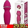 �y2930�~�����ʌ���z����������l�l1�_���聄
